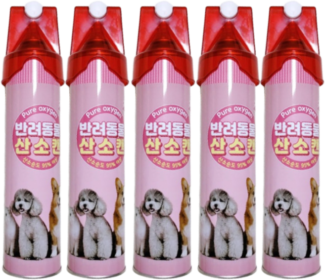 강아지 산소캔 노령견 고양이 반려동물 산소, 5개, 816ml