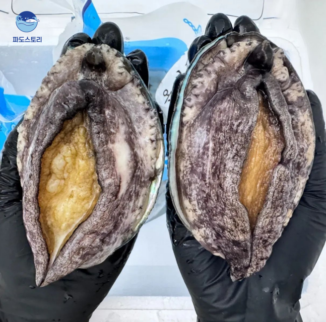 파도스토리 완도전복 2kg 왕특대 직거래 산지직송 선물세트 손질칼 증정, 1세트, 2kg(왕톡대 16-18미)