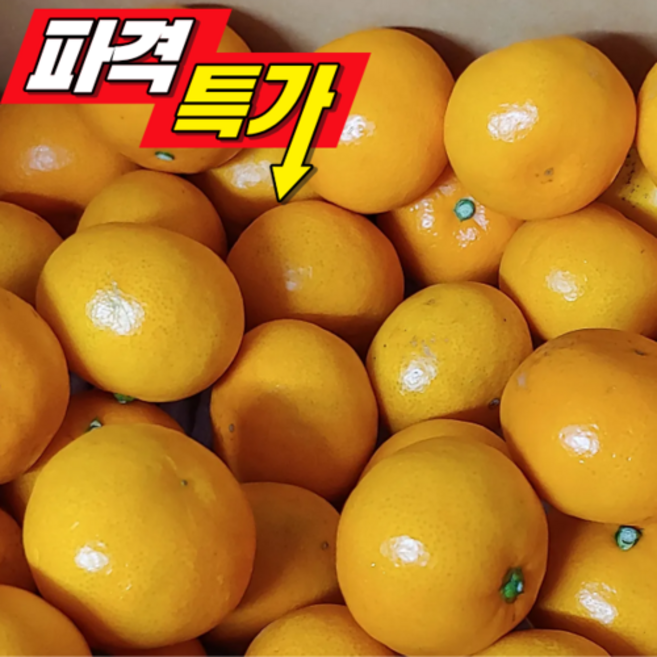 한끼밥상 15brix 프리미엄 고당도 비가림 감귤 4.5kg (55-85과 내외) 소과, 55개