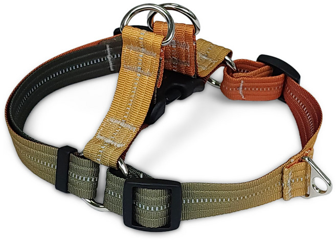 페르니 반사형 앞섬방지 강아지 하네스 가슴줄 Y형 레인보우팝 국산, 메이플, 1개