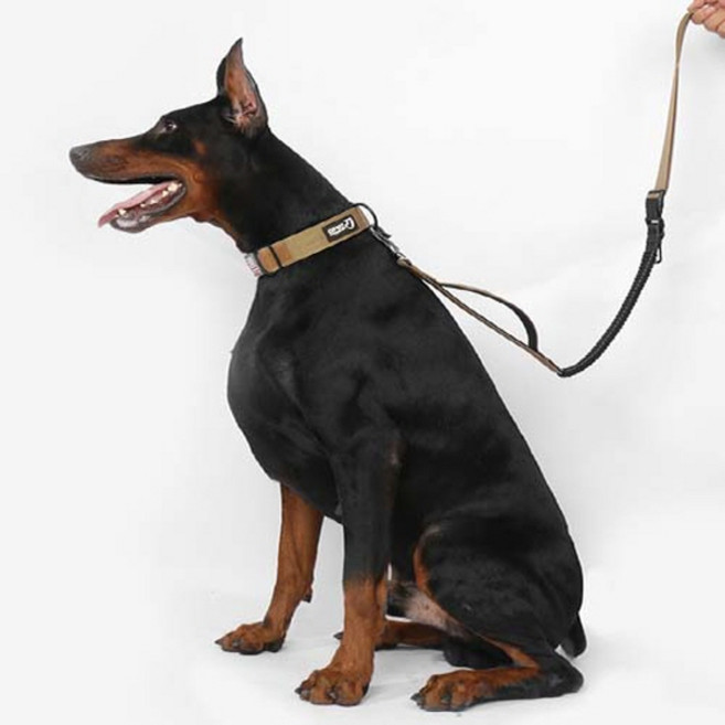 펫먼트 안전핸들 대형견 목줄 리드줄 세트, 포레스트그린, 1개