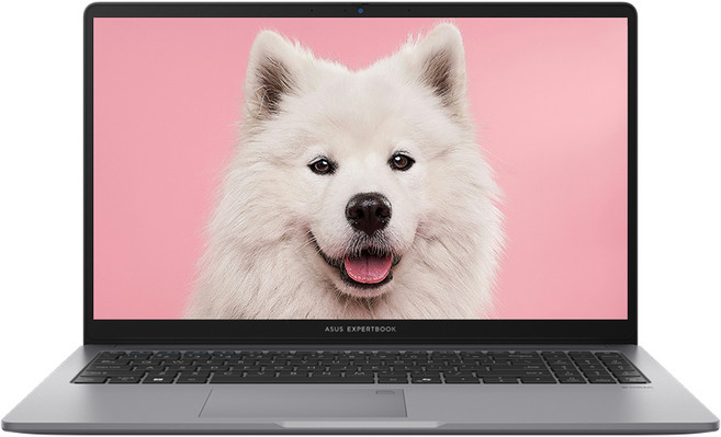 ASUS 노트북 엑스퍼트북 라이젠5 300nits 가성비 사무용 학생용, PM1503CDA-S70068, WIN11 Pro, 32GB, 512GB, 미스티 그레이