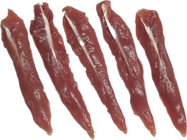 한결컴퍼니 생 오리안심 2kg 냉동 오리안심 손질 오리가슴살 안심살 수제간식재료 오리고기, 1개