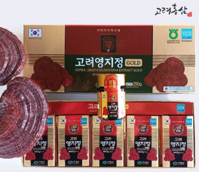 [고려홍삼] 고려홍삼 영지버섯정 골드250g 영지정50g x 5병 영지버섯 영지차 영지차 영지액 고려영지, 250g, 1세트