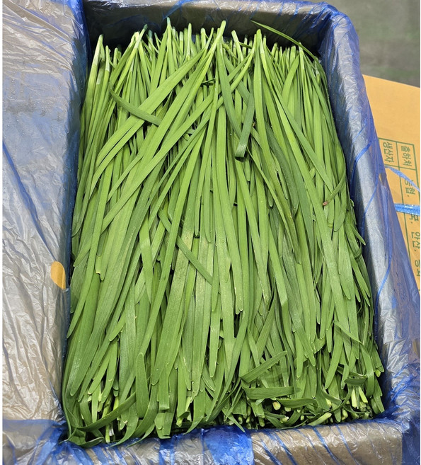 국내산 나주 산지직송 신선부추(정구지) 1kg~8kg 알뜰농장, 1kg, 1개