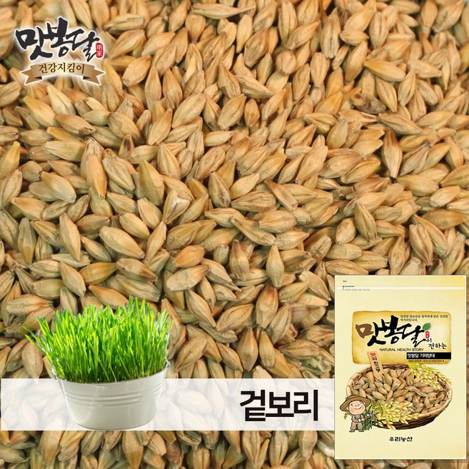맛봉달 겉보리 통보리 국내산, 1개, 10kg 마대포장