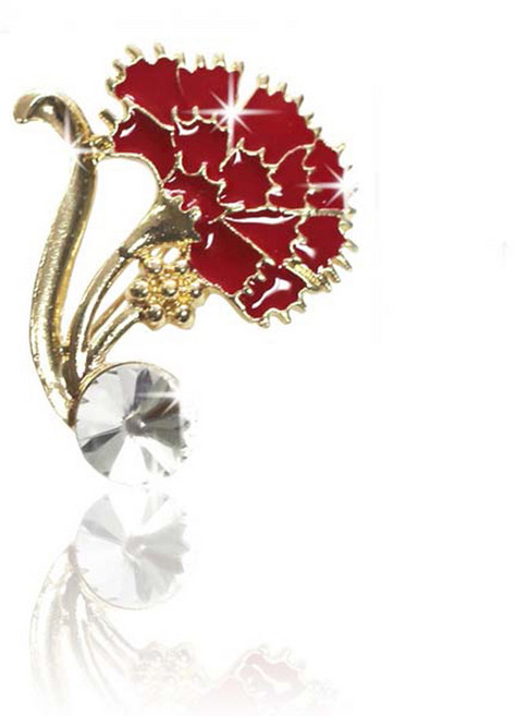 카네이션 브로치