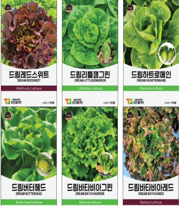유럽상추씨앗 6종세트 100립 펠렛코팅 서양상추종자 화분 led 수경재배가능