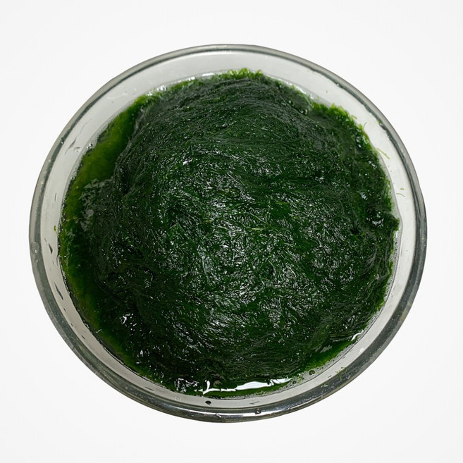 똑순상회 무안 감태 찰감태 물감태 2026년 햇감태, 1개