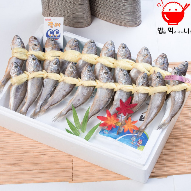 밥먹니 국내산 법성포 굴비 실속세트 특5호 1.5kg~1.6kg(20미), 1박스