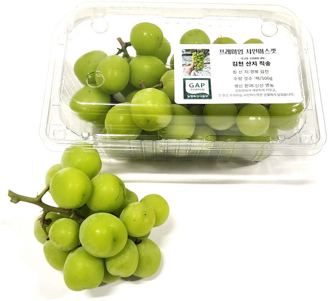포도 프리미엄 고당도 샤인머스켓 김천 [산지직송], 1박스, 1kg (알송이)