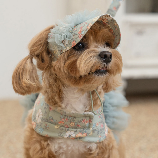 베일리 강아지 고양이 선캡 여름 애견모자 반려견산책용 에블린 썬캡, 카키, 1개