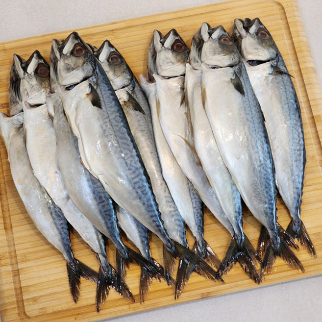 국내산 부산 자반고등어 10미 1미당250g-350g내외, 1개