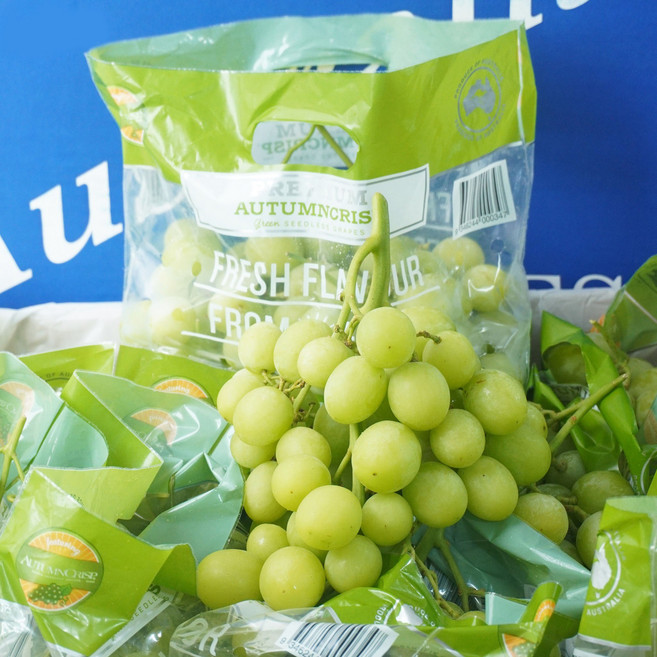 아삭아삭 고당도 애플청포도 오톰크리스피 스윗글로브 달달과수원, 4kg, 1개