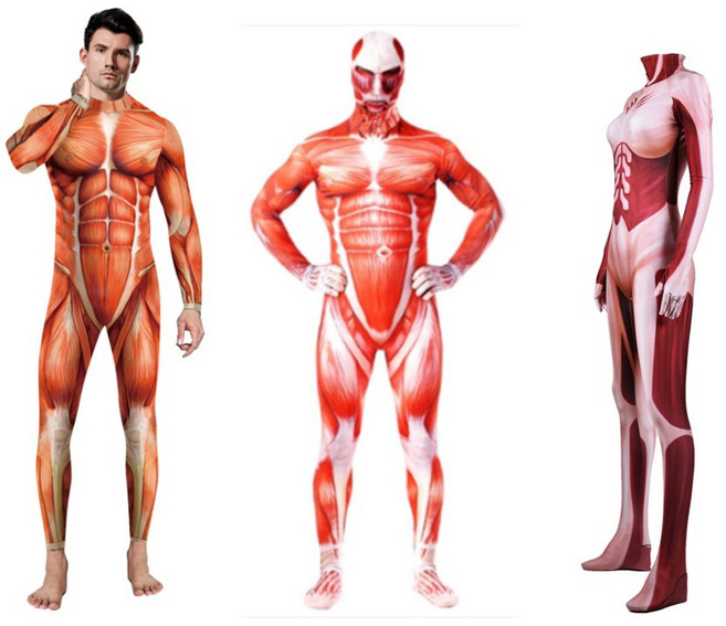 국내배송 진격의거인 기행종 근육 바디 슈트 수트 전신복 타이즈 쫄쫄이 할로윈 코스튬 옷