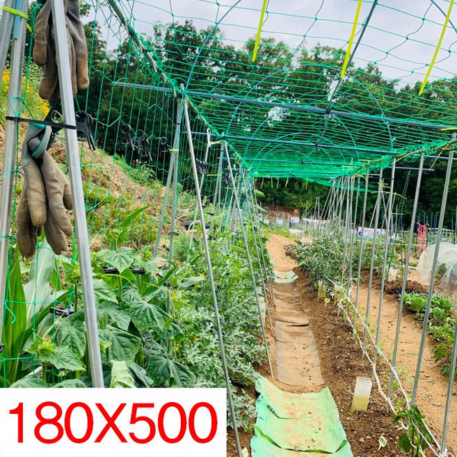 농사 네트 정원 식물 넝쿨 그물망 오이망 원예용 식물그물 넝쿨망 새망, 1개, 180*500