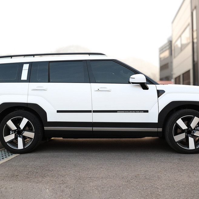 2024 디올뉴 싼타페 MX5 호환 문콕방지 도어가드, 블랙, 1세트