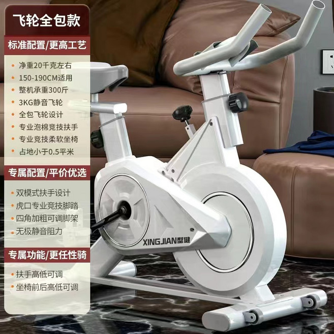飛輪健身車 磁控飛輪單車 動感室內腳踏車, 標準款白/全包飛輪/靜音/燃脂, 標準款白