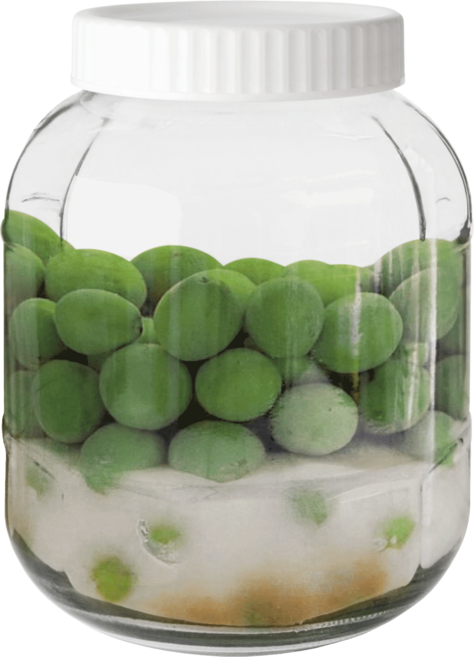 경성리빙테크 과실주 담금주 유리 저장병 랜덤발송, 3.5L, 1개
