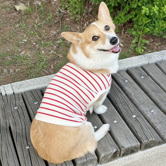 도기스타 웰시코기옷 민소매 여름 크롭티 나시, 빨강줄, 1개