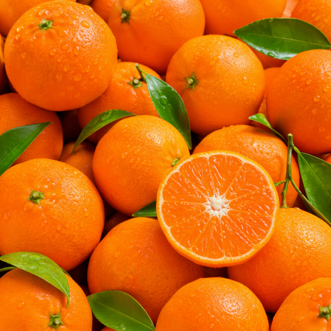 [재구매1위] 제주박씨네농장 고당도 산지직송 제주카라향, 1세트, 10kg