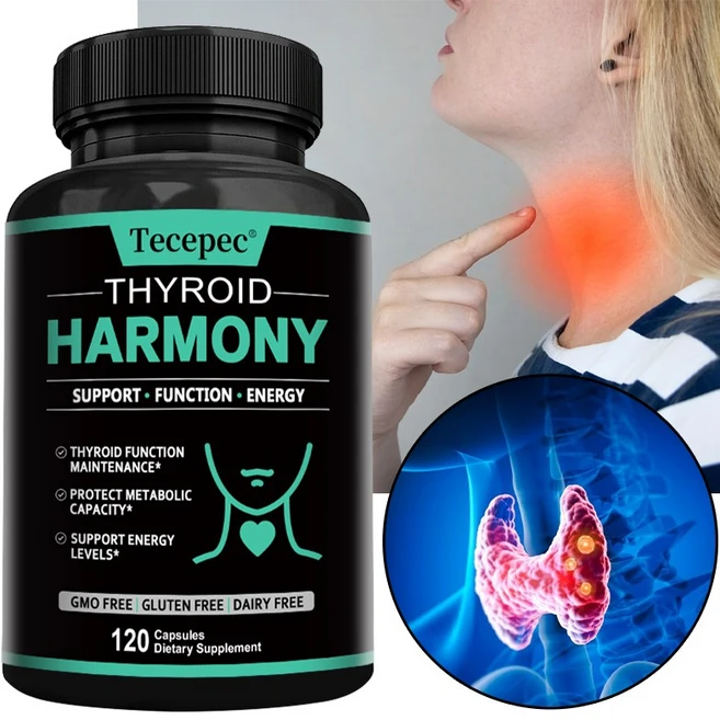 요오드가 함유된 갑상선 지원 보충제 - 에너지 신진대사 집중력 스트레스 기분 지원 아슈와간다 아연 셀레늄 비타민 B12 다시마 마그네슘, 120캡슐, 1개, 120정 - 쿠팡