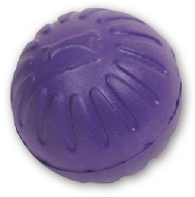 애견 반려견 훈련 행동발달 교육용 폼볼 M 보라, 없음, 상세설명 참조