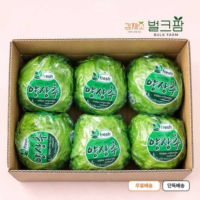 산지직송 양상추 포장 6통 12통 1박스, 6개, 3kg