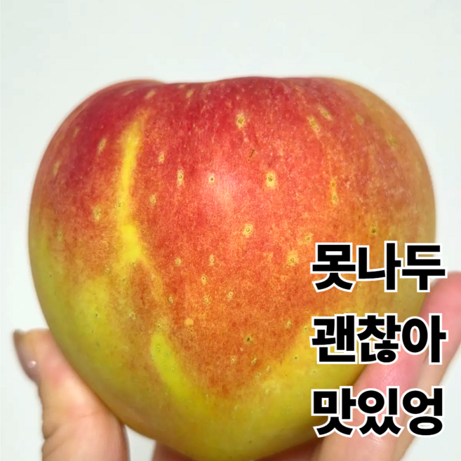 청송사과 묵직탄탄한 아리수사과 엔비사과 깜짝특가, 1개, 3kg (가정용)