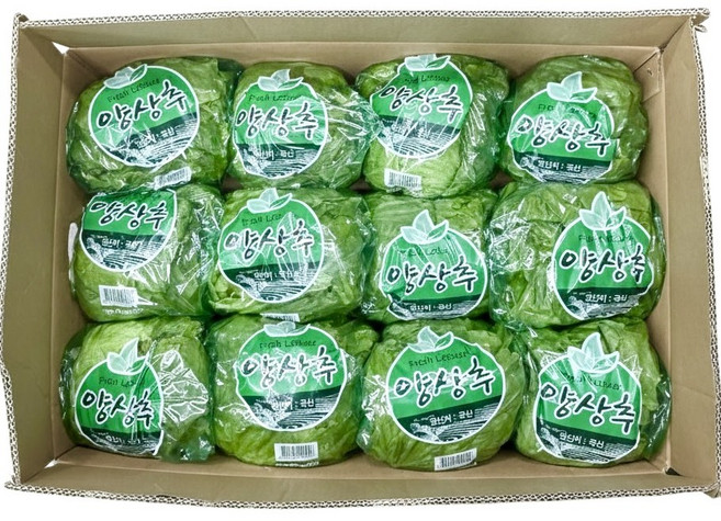 농진사 포장 양상추 국내산 특품, 12개, 500g
