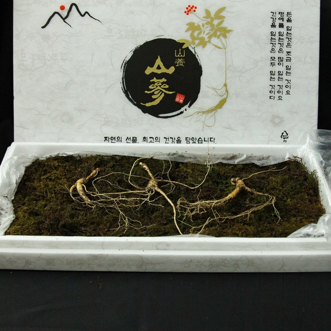(특 기획 오동나무) 국내산 산양삼 12~15년산 특 선물용 / 3뿌리 + (가족삼) 2뿌리, 5kg, 1박스