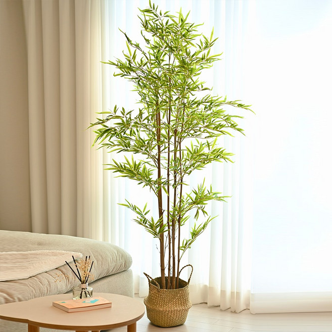 아르띠콜로 인조 대나무화분+해초바구니세트, 180cm, 1개, 그린 180cm