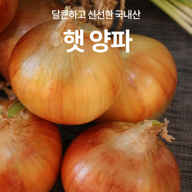[26년 국내산 햇양파]아삭하고 달큰하고 신선한 산지직송 당일수확 1박스 10kg, 10kg(중)