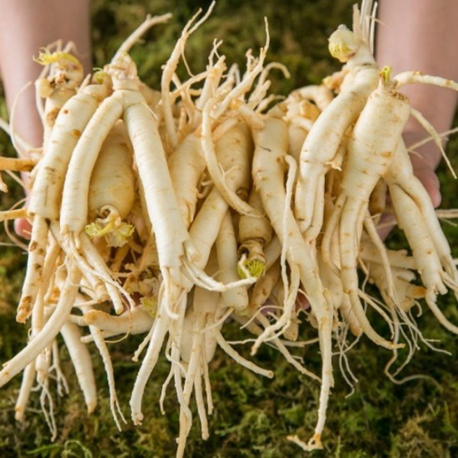 햇수삼 세척 가정용 난발삼, 1kg, 1개