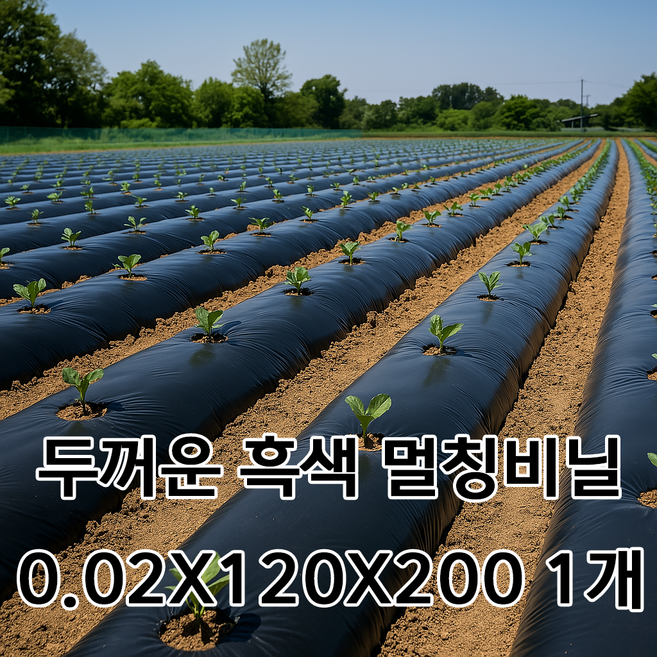 자재스토어 검정 멀칭비닐 0.02*120cm*200m 흑색 농업용비닐 텃밭 고추 배추 마늘 양파 농사 필름 밭, 1세트