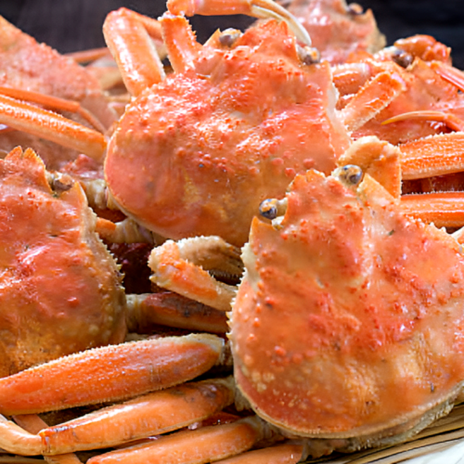 5위 - 건영마켓 러시아대게 A급 자숙생물 동해항 직송 수율보장, 1박스, 대게 자숙 3kg(3미 내외)