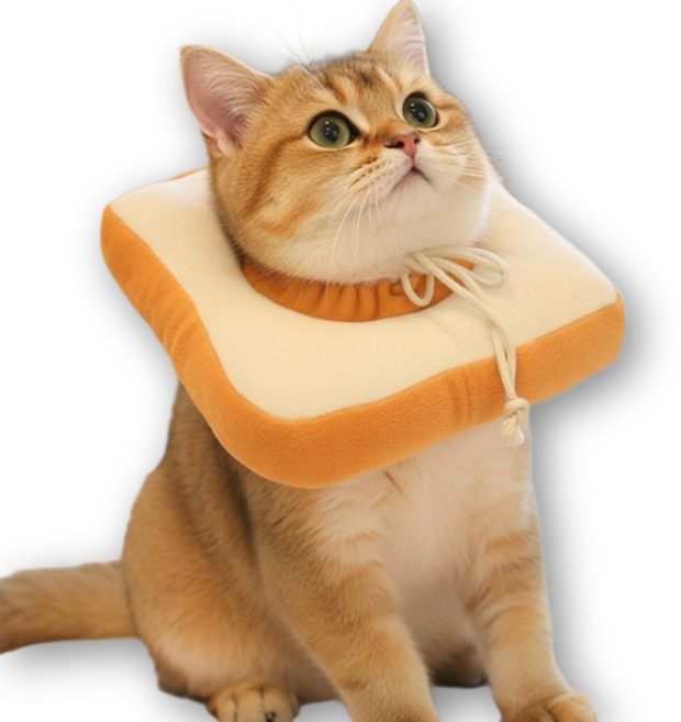 온리상점 반려동물 밴딩조절 넥카라 (중성화 긁음방지용), 1개, 토스트