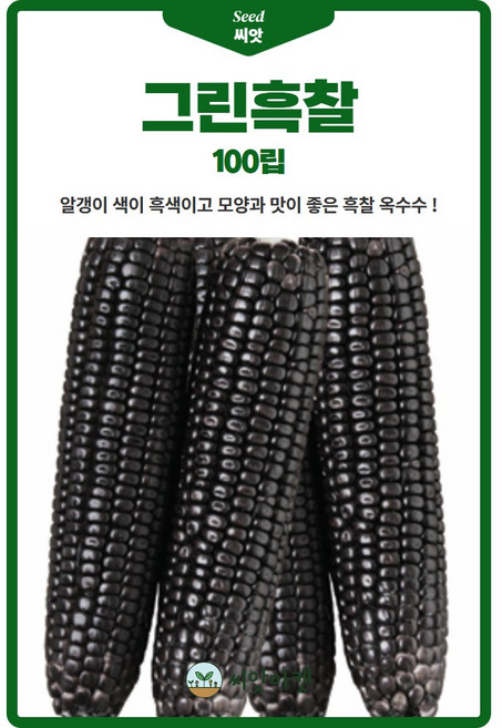 그린흑찰 옥수수 씨앗 100립 흑색 찰옥수수씨 종자, 1개
