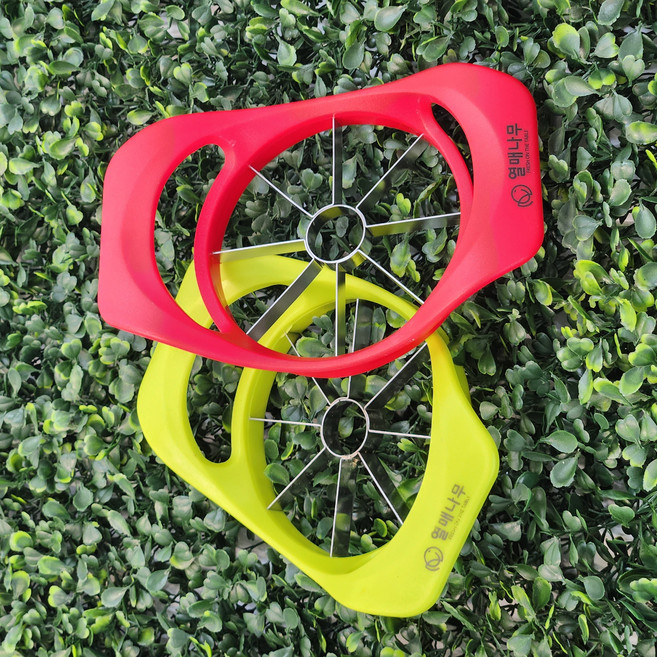 열매나무 사과 슬라이스, 1개, 연두