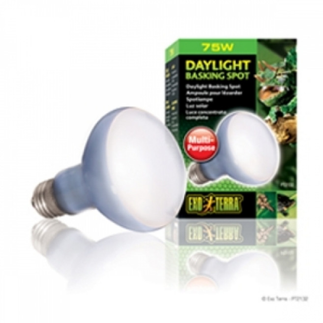 엑소테라 파충류 바스킹 스팟 램프 75w PT-2132, 1개