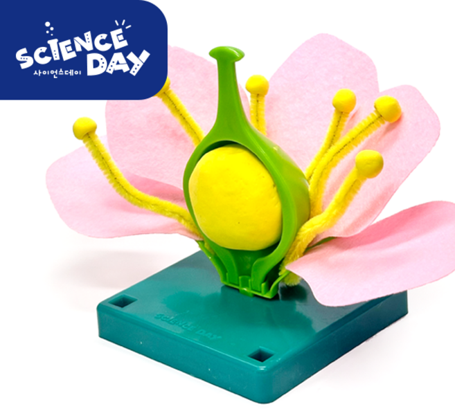 [사이언스데이] 꽃의구조 구조모형 식물의 구조 과학교구 실험