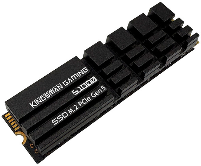 KINGSMAN S1000 M.2 Gen5 PCIe SSD 2TB 固態硬碟, KSS1KM2TB228