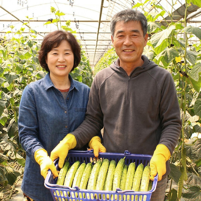 팔도명인 경북상주 백다다기 흑침오이, 1박스, 백다다기 흑침오이 30개 (5kg)