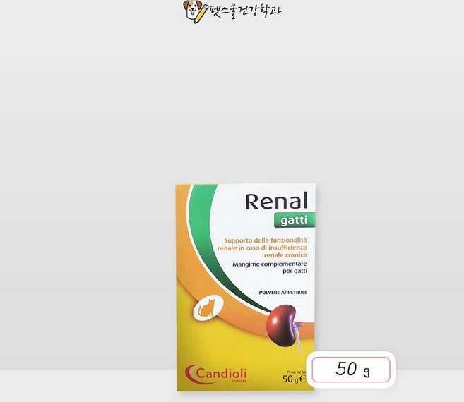 레날 캣 고양이 신장질환 보조제 50g, 1개