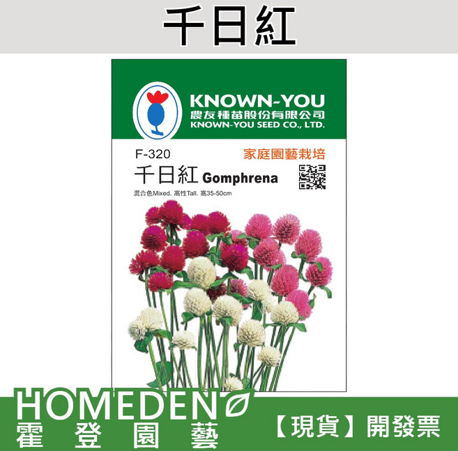 千日紅 F-320 混合色花卉種子 約50粒/包，輕鬆打造繽紛居家花園，體驗播種樂趣，延長花卉觀賞期, 1包(約50粒)