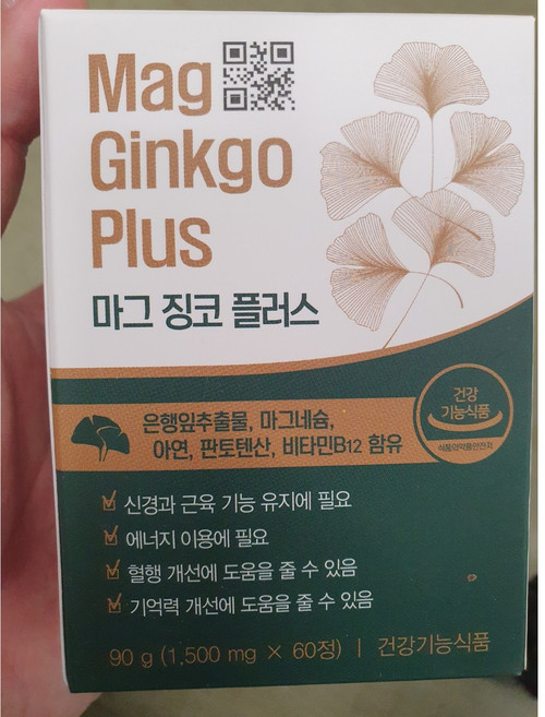 마그 징코 플러스 은행잎추출물 마그네슘 아연 비타민B12 혈행 신경 근육 영양제, 1박스, 60정
