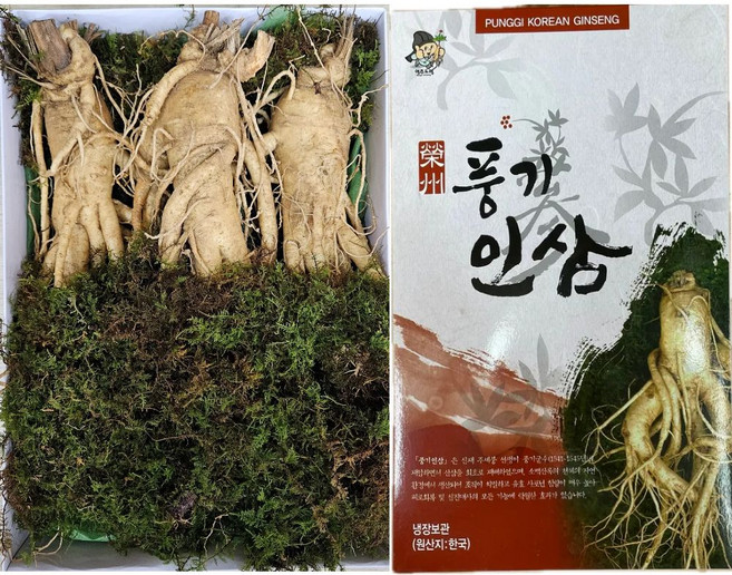 6년근 풍기인삼 특왕대 사이즈 3-5뿌리 고급선물세트 종이상자 이끼포장 한보인삼사, 750g, 1세트