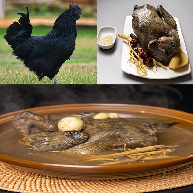 살아있는 명품 토종닭 오골계 1.8kg내외 생닭 티백무료 [오후5시이전 주문 당일출고] 몸보신 기력보강 신선한 시골토종 오골계, 6.오골계 1개 + 국내산황기 45g, 45g