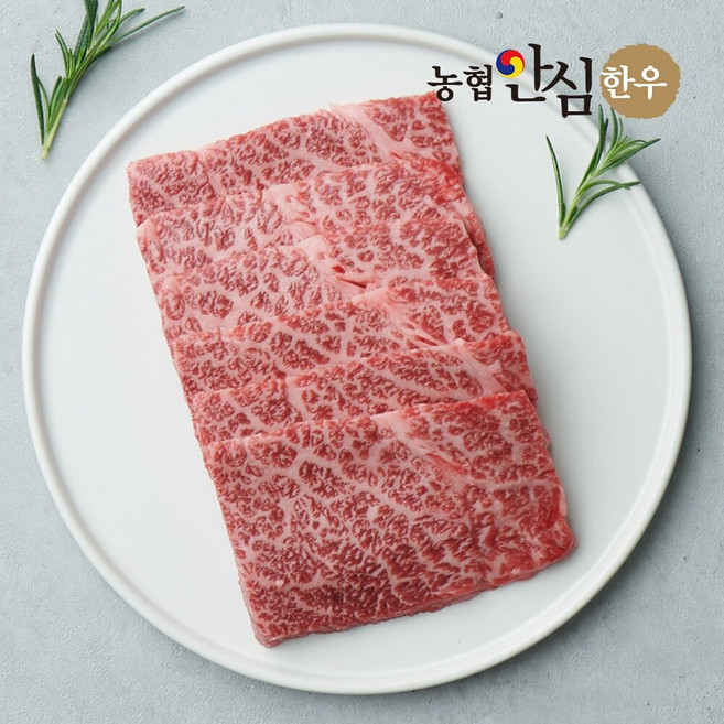 [G][농협안심한우] 1등급 국내산 한우 살치살 구이용 (400g/냉장), 1개