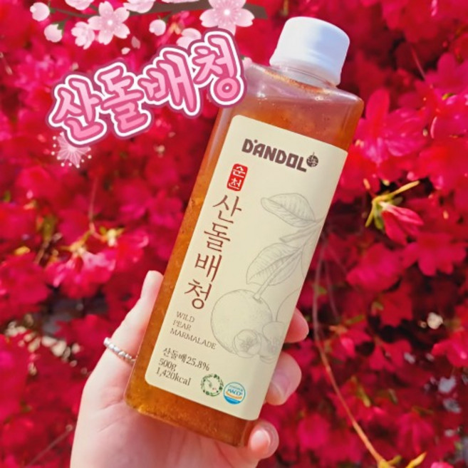 도라지 돌배청 돌배 효소 엑기스 발효액, 1개, 500g